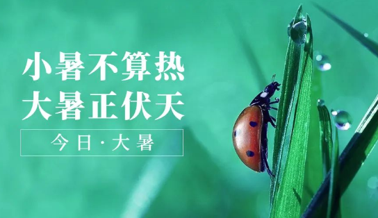 二十四节气 | 大暑
